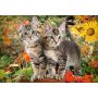Puzzle Castorland 1500el Dwa kotki - 3